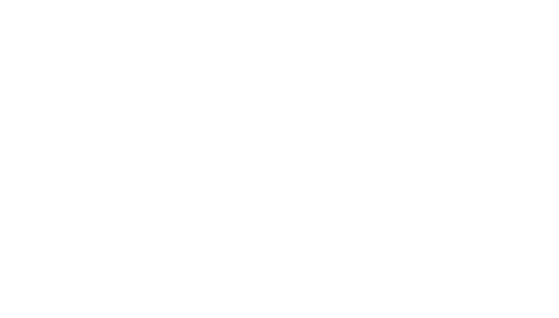 The Woods at Shannon Lake